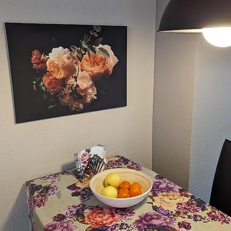 Cozy Apartamento